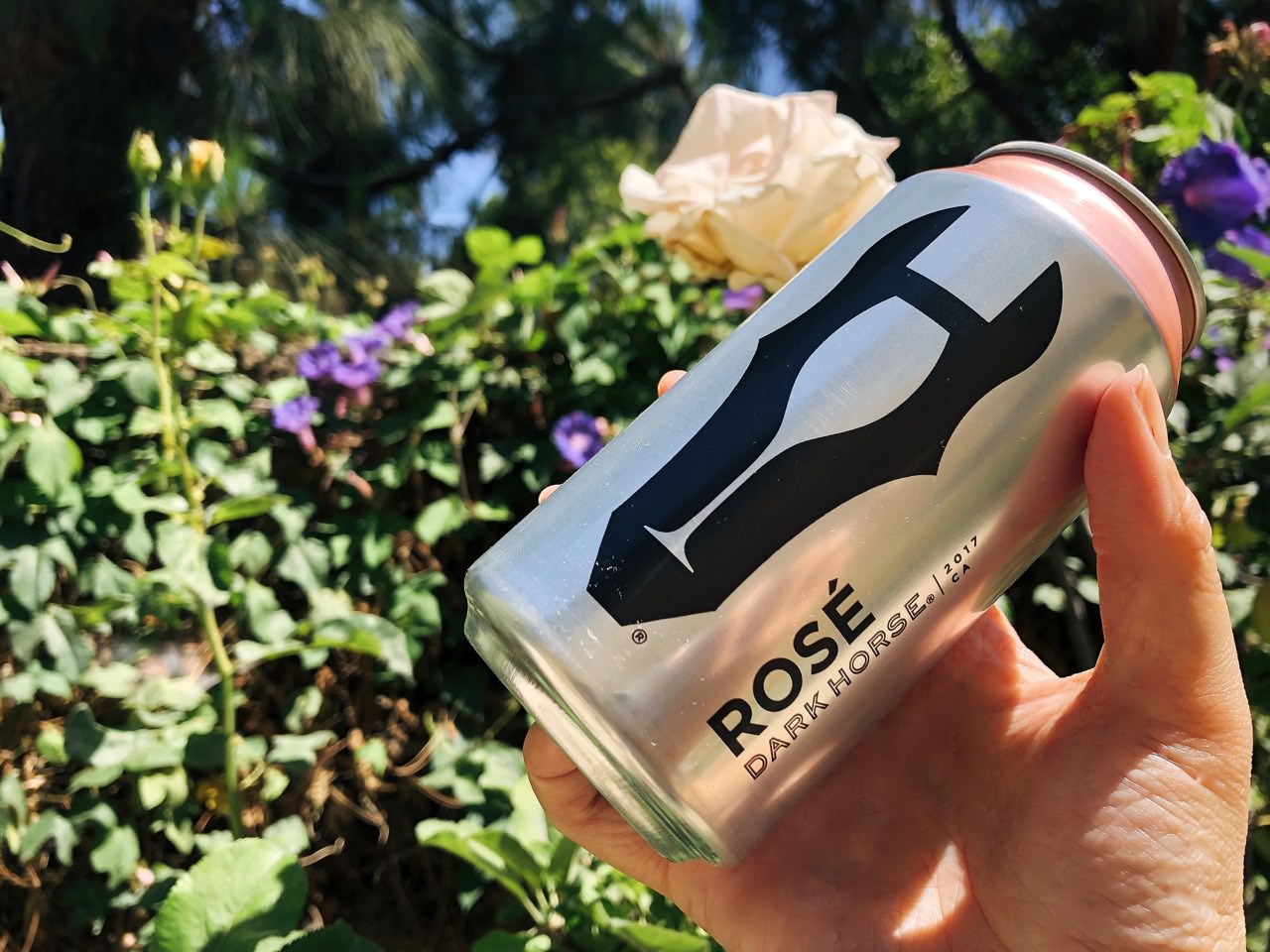 California Dark Horse Rosé 2017 》2017 年加州粉紅酒包裝是鋁罐?!?